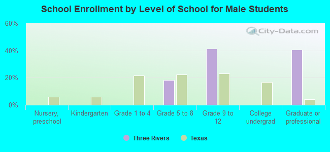 School Enrollment by Level of School for Male Students