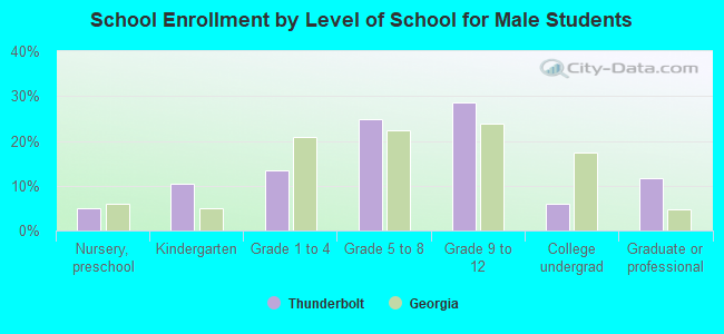 School Enrollment by Level of School for Male Students