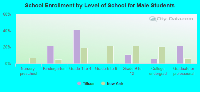 School Enrollment by Level of School for Male Students