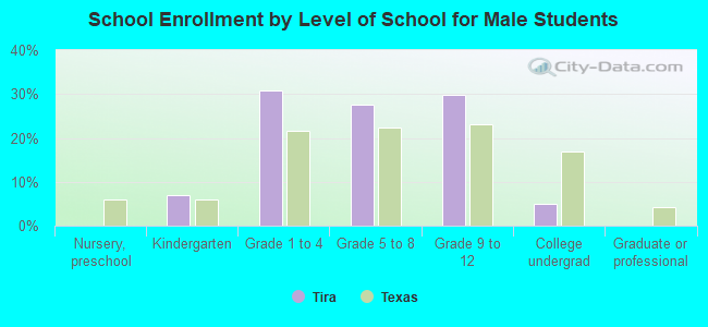 School Enrollment by Level of School for Male Students