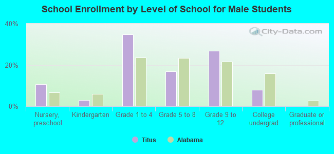 School Enrollment by Level of School for Male Students