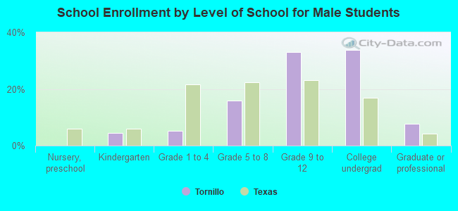 School Enrollment by Level of School for Male Students