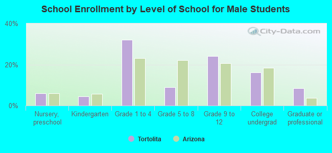 School Enrollment by Level of School for Male Students