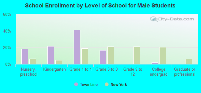 School Enrollment by Level of School for Male Students