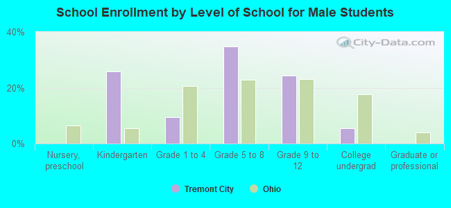 School Enrollment by Level of School for Male Students