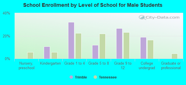 School Enrollment by Level of School for Male Students