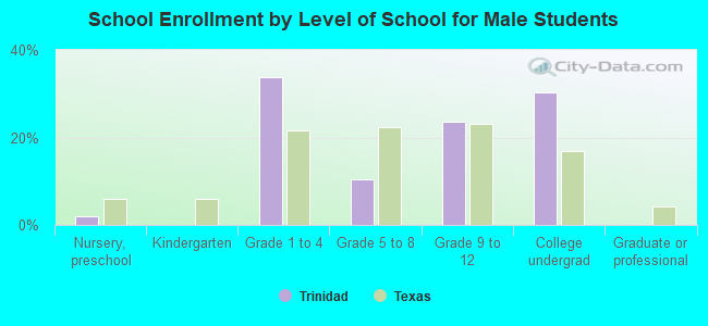 School Enrollment by Level of School for Male Students