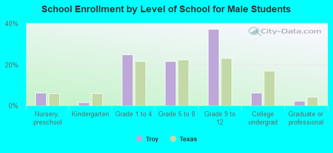 School Enrollment by Level of School for Male Students