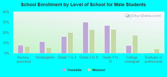 School Enrollment by Level of School for Male Students