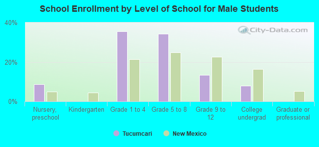 School Enrollment by Level of School for Male Students