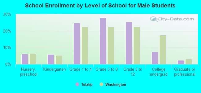 School Enrollment by Level of School for Male Students