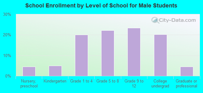 School Enrollment by Level of School for Male Students