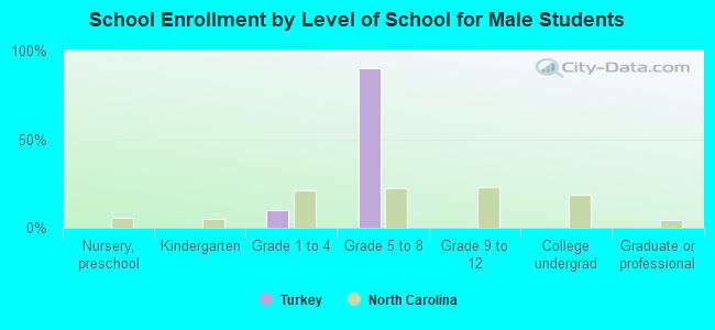 School Enrollment by Level of School for Male Students