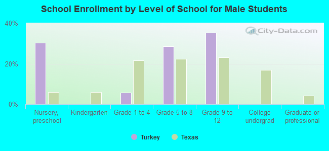 School Enrollment by Level of School for Male Students