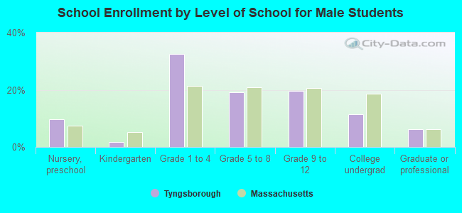 School Enrollment by Level of School for Male Students