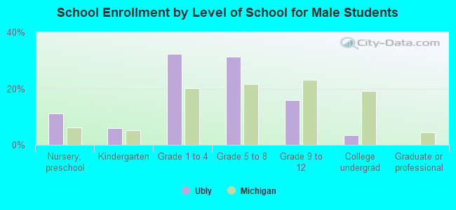 School Enrollment by Level of School for Male Students