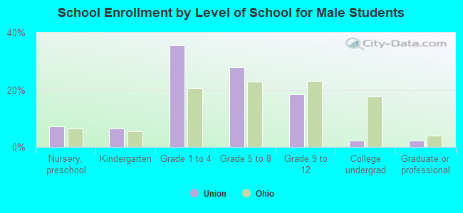 School Enrollment by Level of School for Male Students