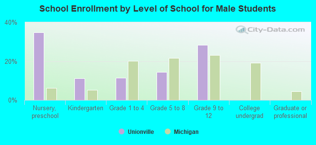 School Enrollment by Level of School for Male Students