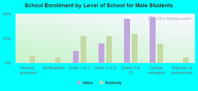 School Enrollment by Level of School for Male Students