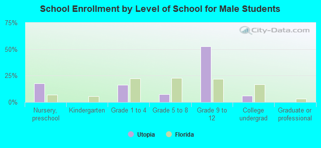 School Enrollment by Level of School for Male Students