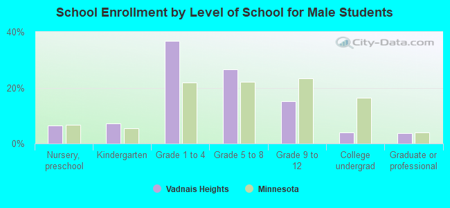 School Enrollment by Level of School for Male Students