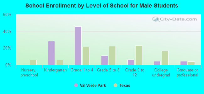 School Enrollment by Level of School for Male Students