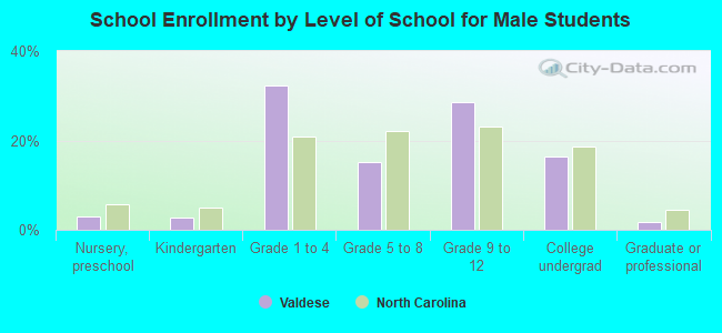 School Enrollment by Level of School for Male Students