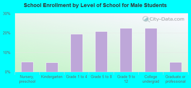 School Enrollment by Level of School for Male Students