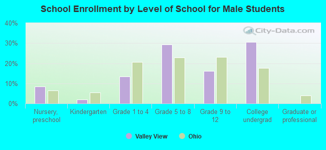 School Enrollment by Level of School for Male Students