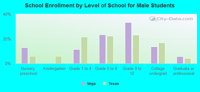 School Enrollment by Level of School for Male Students