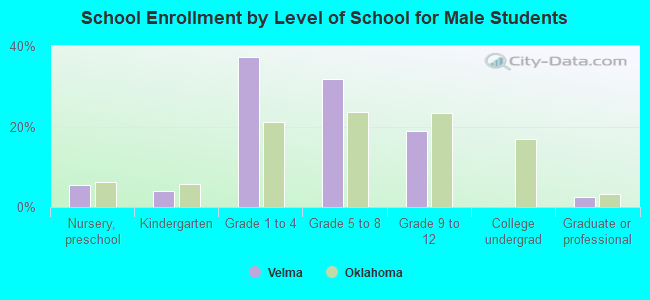 School Enrollment by Level of School for Male Students