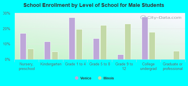 School Enrollment by Level of School for Male Students