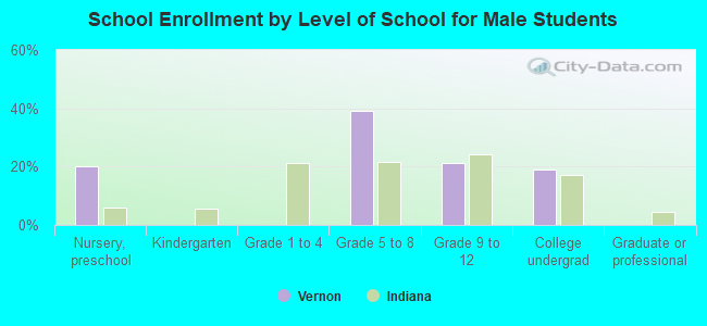 School Enrollment by Level of School for Male Students