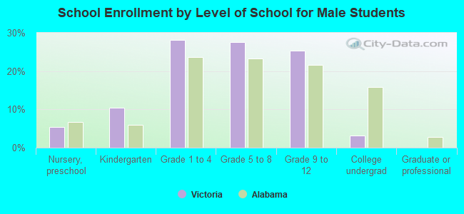 School Enrollment by Level of School for Male Students