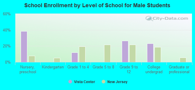 School Enrollment by Level of School for Male Students