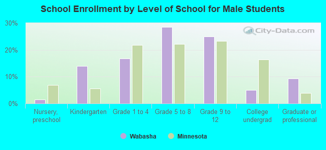 School Enrollment by Level of School for Male Students