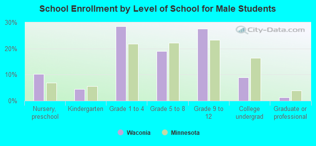 School Enrollment by Level of School for Male Students