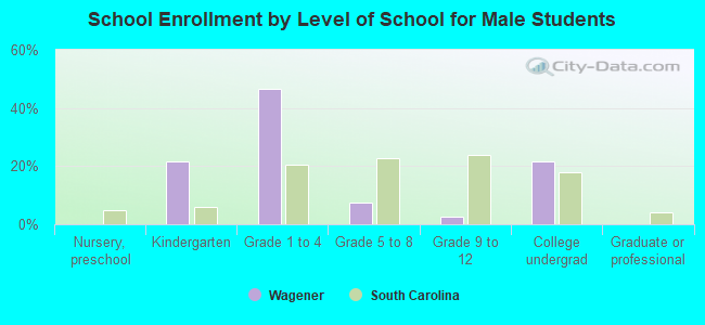 School Enrollment by Level of School for Male Students