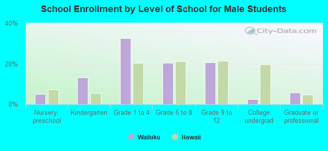 School Enrollment by Level of School for Male Students