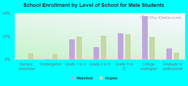 School Enrollment by Level of School for Male Students