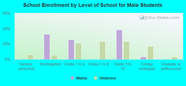 School Enrollment by Level of School for Male Students