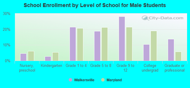 School Enrollment by Level of School for Male Students