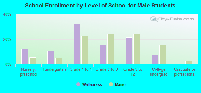 School Enrollment by Level of School for Male Students