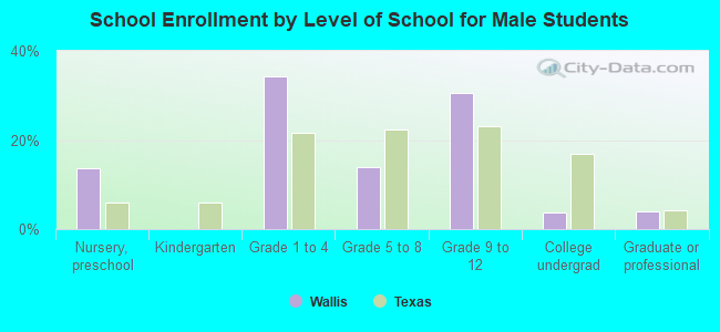 School Enrollment by Level of School for Male Students