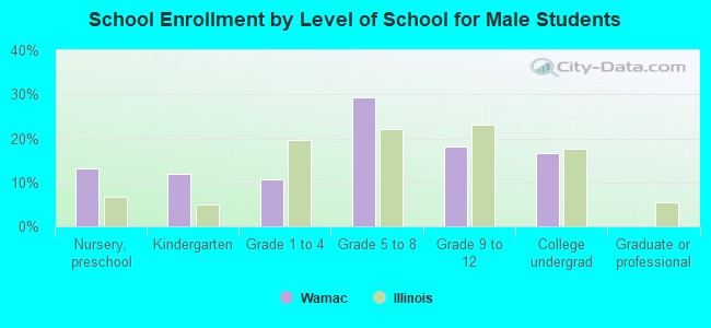 School Enrollment by Level of School for Male Students