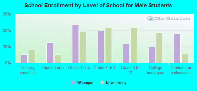 School Enrollment by Level of School for Male Students