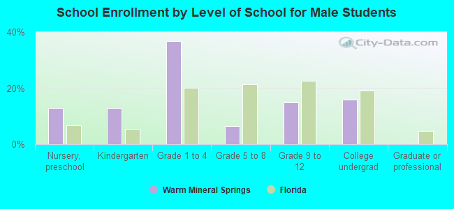 School Enrollment by Level of School for Male Students