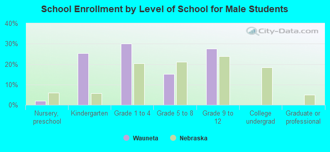 School Enrollment by Level of School for Male Students