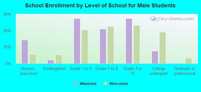 School Enrollment by Level of School for Male Students