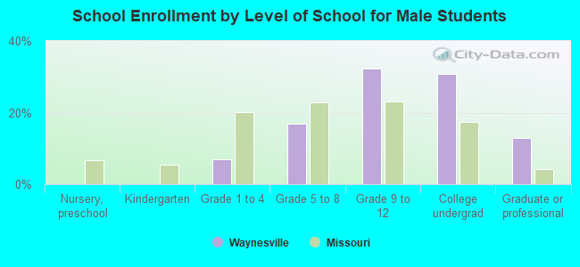 School Enrollment by Level of School for Male Students